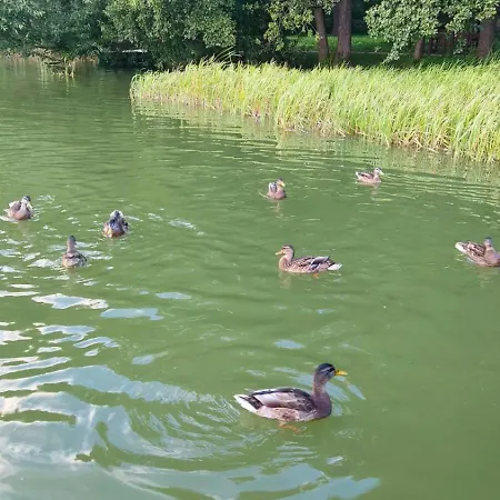 Ubytování v soukromí Przy Kortach *